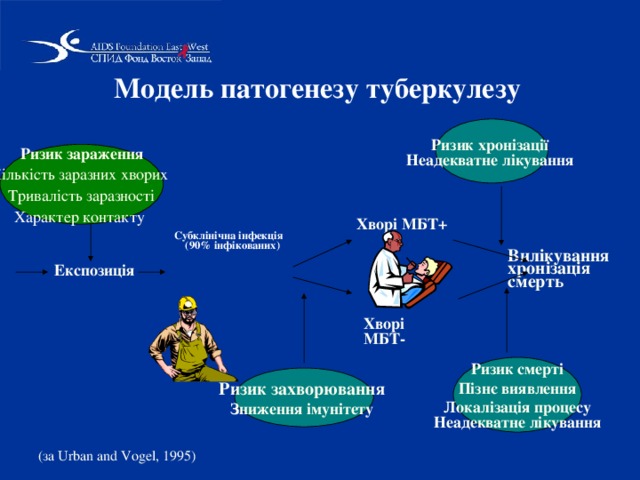 Модель патогенезу туберкулезу Ризик хронізації Неадекватне лікування  Ризик зараження Кількість заразних хворих Тривалість заразності Характер контакту  Хворі МБТ+ Субклінічна інфекція  (90% інфікованих) Вилікування хронізація смерть Експозиція  Хворі МБТ- Ризик смерті Пізнє виявлення Локалізація процесу  Неадекватне лікування  Ризик захворювання  Зниження імунітету  ( за  Urban and Vogel, 1995) 