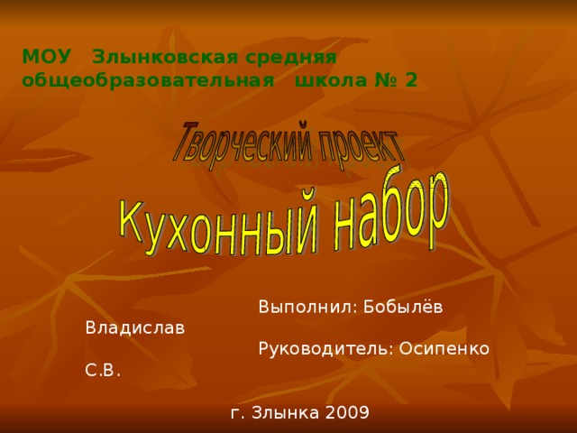 МОУ Злынковская средняя общеобразовательная школа № 2  Выполнил: Бобылёв Владислав  Руководитель: Осипенко С.В.  г. Злынка 2009 