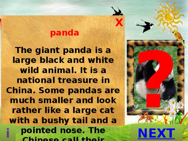 What is this  animal? X  panda   The giant panda is a large black and white wild animal. It is a national treasure in China. Some pandas are much smaller and look rather like a large cat with a bushy tail and a pointed nose. The Chinese call their beloved pandas 