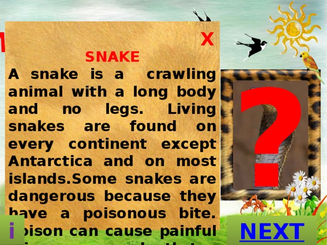 What is this  animal? X SNAKE A snake is a crawling animal with a long body and no legs. Living snakes are found on every continent except Antarctica and on most islands.Some snakes are dangerous because they have a poisonous bite. Poison can cause painful injury or even death to  humans .          ? A D A N P                                                           A S E K N i GUESS? In the Western worldl species. They require minimal space, as most common species do not exceed five feet in length. Pet snakes can be fed relatively infrequently, usually once every 5–14 days. Certain snakes have a lifespan of more than 40 years if given proper care. Symbolism 