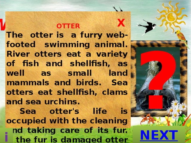 What is this  animal? X  OTTER The otter is a furry web-footed swimming animal. River otters eat a variety of fish and shellfish, as well as small land mammals and birds. Sea otters eat shellfish, clams and sea urchins.    Sea otter's life is occupied with the cleaning and taking care of its fur. If the fur is damaged otter may die from cold and exposure. ? A D A N P                                                           A E K S N R T O E T GUESS? i 