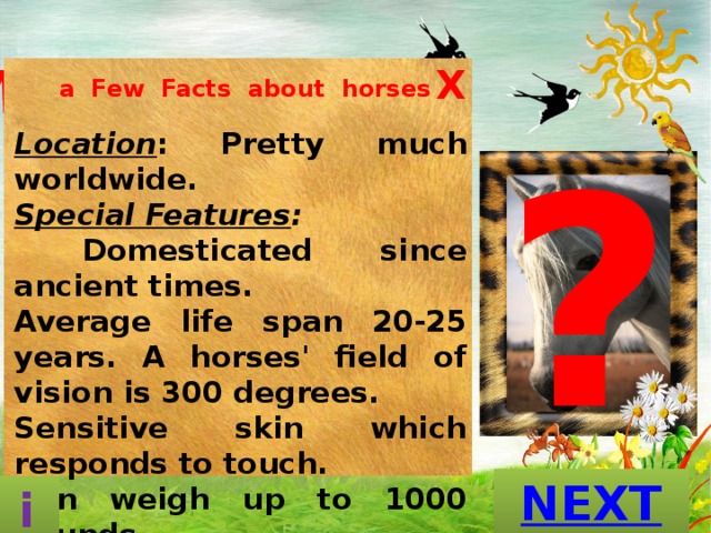 What is this  animal? X  a Few Facts about horses  Location : Pretty much worldwide. Special Features :  Domesticated since ancient times. Average life span 20-25 years. A horses' field of vision is 300 degrees. Sensitive skin which responds to touch. Can weigh up to 1000 pounds. ? A A D N P                                                           S A E K N R T E T O U S O E M R S H O E GUESS? i 