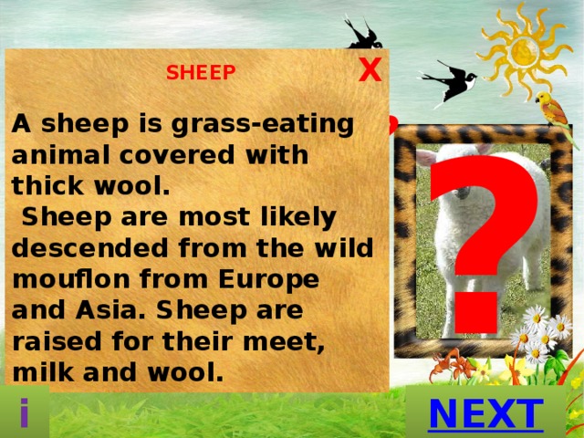 What is this animal called? X  SHEEP  A sheep is grass-eating animal covered with thick wool.  Sheep are most likely descended from the wild mouflon from Europe and Asia. Sheep are raised for their meet, milk and wool. ? D A A P N                                                           S A E K N E R T T O O U S E M R S H E O S H E E P GUESS? i 