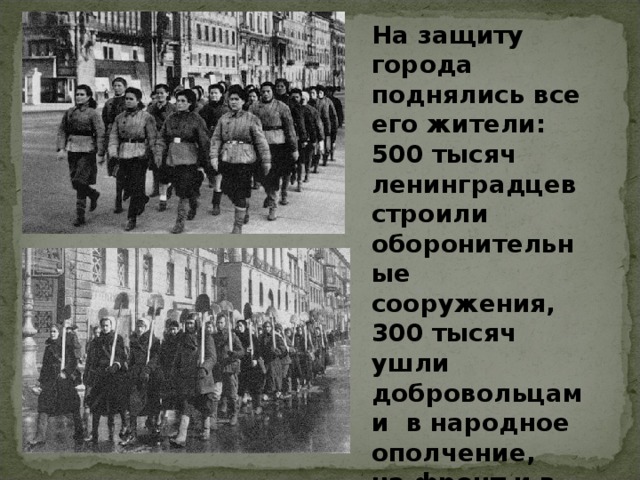 На защиту города поднялись все его жители: 500 тысяч ленинградцев строили оборонительные сооружения, 300 тысяч ушли добровольцами в народное ополчение, на фронт и в партизанские отряды.