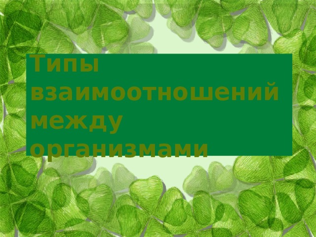 Типы взаимоотношений между организмами 