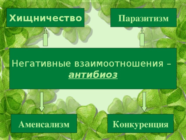 Хищничество Паразитизм Негативные взаимоотношения – антибиоз Аменсализм Конкуренция 