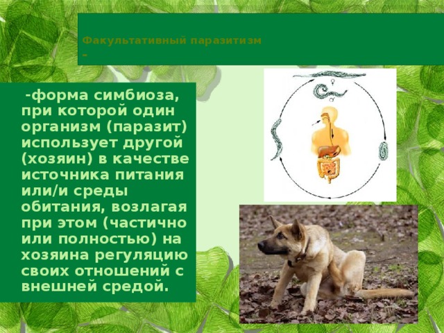  Факультативный паразитизм  -  -форма симбиоза, при которой один организм (паразит) использует другой (хозяин) в качестве источника питания или/и среды обитания, возлагая при этом (частично или полностью) на хозяина регуляцию своих отношений с внешней средой.  