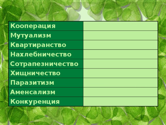  Кооперация Мутуализм Квартиранство Нахлебничество Сотрапезничество Хищничество Паразитизм Аменсализм Конкуренция 
