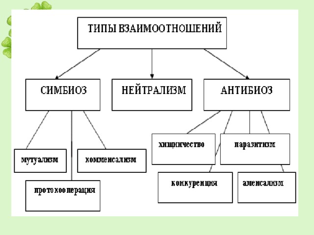 Виды взаимоотношений