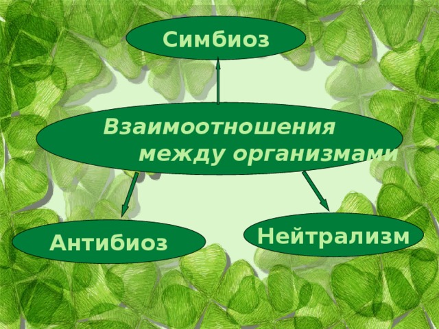 Симбиоз Взаимоотношения  между организмами Нейтрализм Антибиоз 
