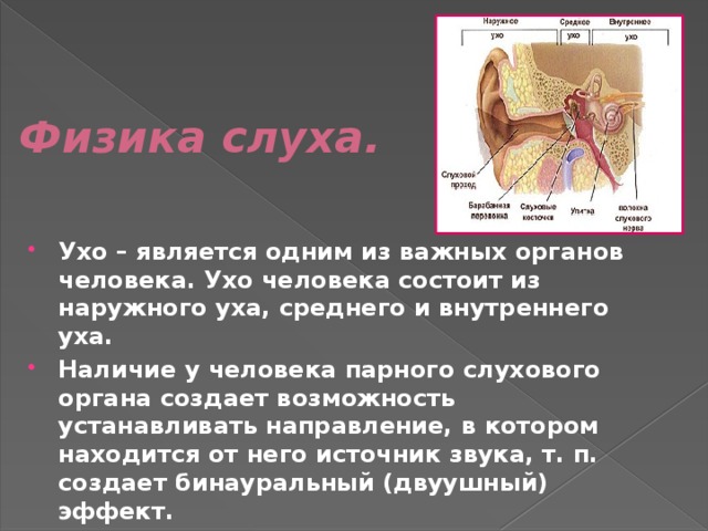 Дыхание с точки зрения физики проект