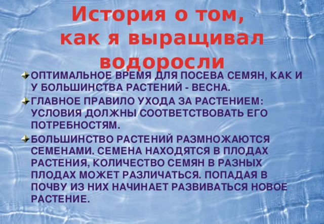 История о том,  как я выращивал водоросли Оптимальное время для посева семян, как и у большинства растений - весна. Главное правило ухода за растением: условия должны соответствовать его потребностям. Большинство растений размножаются семенами. Семена находятся в плодах растения, количество семян в разных плодах может различаться. Попадая в почву из них начинает развиваться новое растение.    