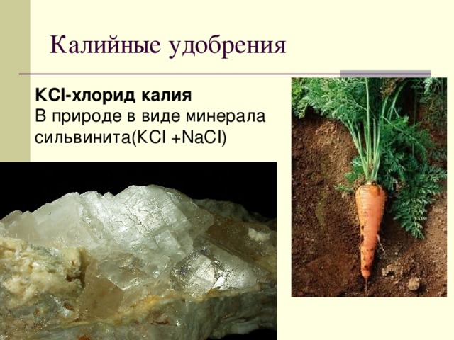 Калийные удобрения КСI-хлорид калия В природе в виде минерала сильвинита(КCI +NaCI) 