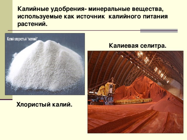 Критерии выбора калийных удобрений для различных культур