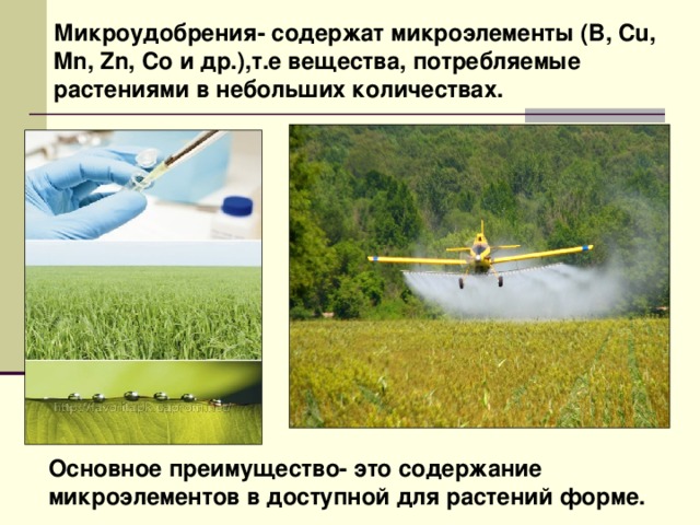 Микроудобрения- содержат микроэлементы (B, Cu, Mn, Zn, Co и др.),т.е вещества, потребляемые растениями в небольших количествах. Основное преимущество- это содержание микроэлементов в доступной для растений форме. 