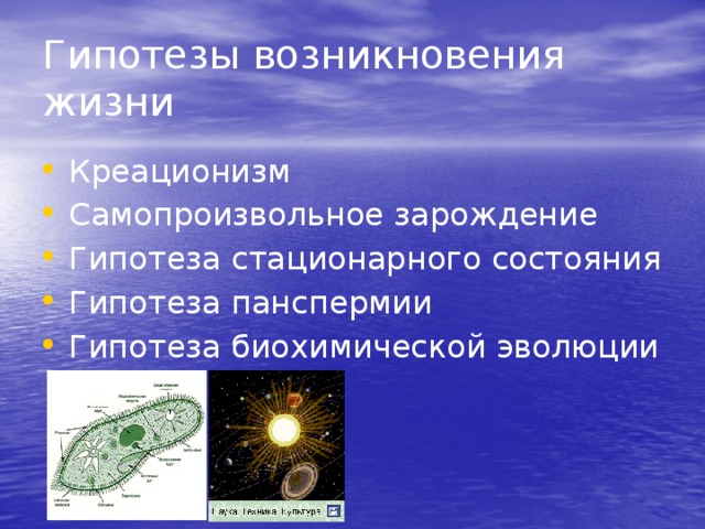 Гипотезы возникновения жизни Креационизм Самопроизвольное зарождение Гипотеза стационарного состояния Гипотеза панспермии Гипотеза биохимической эволюции 