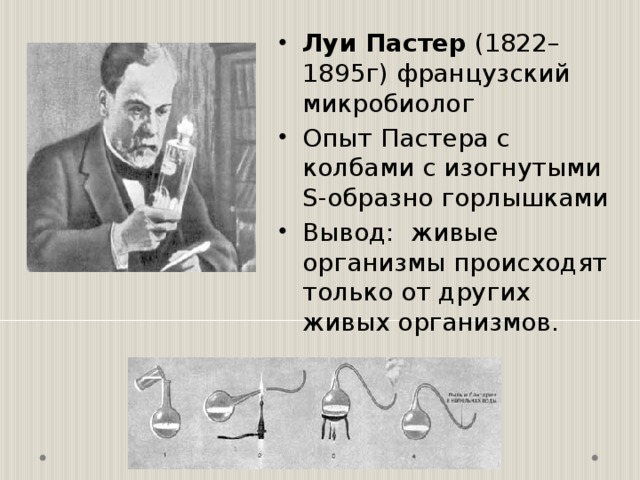 На рисунке показан опыт луи пастера какую теорию опроверг ученый этим опытом