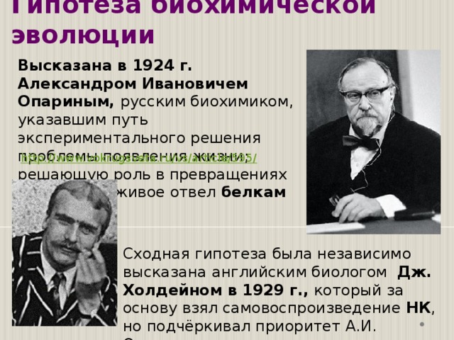 Гипотеза биохимической эволюции Высказана в 1924 г. Александром Ивановичем Опариным, русским биохимиком, указавшим путь экспериментального решения проблемы появления жизни; решающую роль в превращениях неживого в живое отвел  белкам Сходная гипотеза была независимо высказана английским биологом Дж. Холдейном в 1929 г., который за основу взял самовоспроизведение НК , но подчёркивал приоритет А.И. Опарина в этом вопросе. 