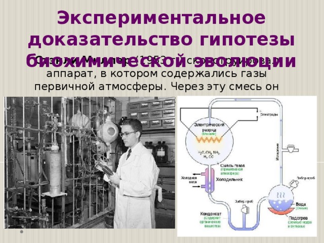 Кто экспериментально доказал существование ядра. Экспериментальное подтверждение газов. Экспериментальное подтверждение вакуума. Гипотеза биохимической эволюции. Гипотеза биохимической эволюции доказательства.