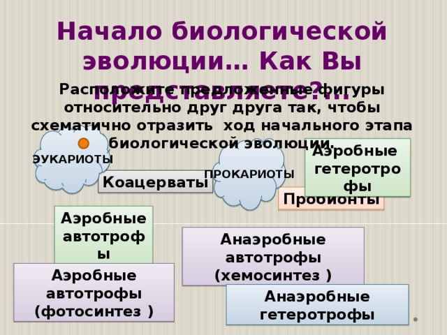 Начало биологической эволюции… Как Вы представляете?... Расположите предложенные фигуры относительно друг друга так, чтобы схематично отразить ход начального этапа биологической эволюции.  Аэробные  гетеротрофы ЭУКАРИОТЫ ПРОКАРИОТЫ Коацерваты Пробионты Аэробные автотрофы Анаэробные автотрофы (хемосинтез ) Аэробные автотрофы (фотосинтез ) Анаэробные гетеротрофы 