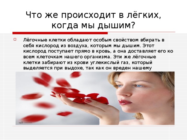 Что же происходит в лёгких, когда мы дышим? Лёгочные клетки обладают особым свойством вбирать в себя кислород из воздуха, которым мы дышим. Этот кислород поступает прямо в кровь, а она доставляет его ко всем клеточкам нашего организма. Эти же лёгочные клетки забирают из крови углекислый газ, который выделяется при выдохе, так как он вреден нашему организму. 