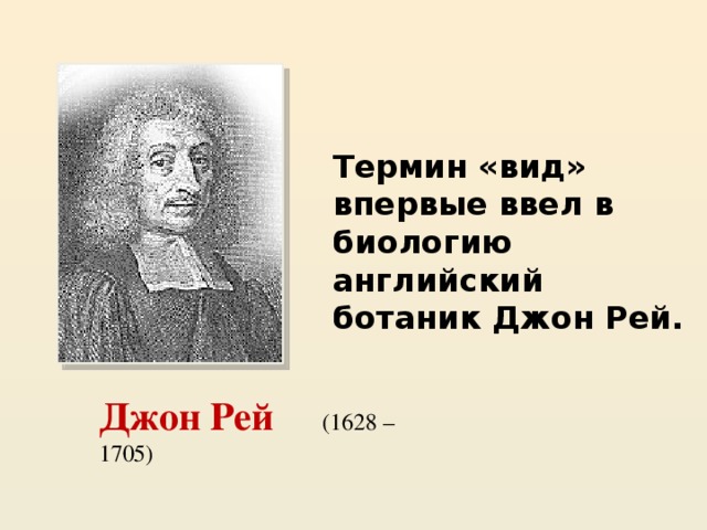 Термин «вид» впервые ввел в биологию английский ботаник Джон Рей. Джон Рей (1628 – 1705) 