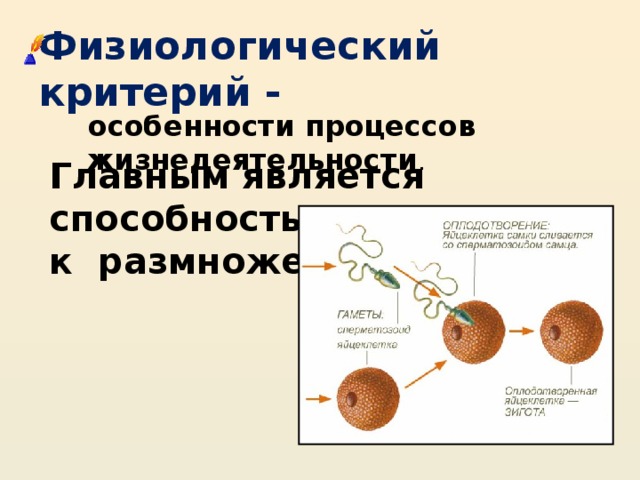 Физиологический критерий -  особенности процессов жизнедеятельности . Главным является способность к размножению. 