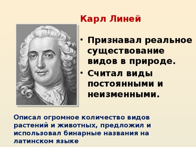 Карл Линей Признавал реальное существование видов в природе. Считал виды постоянными и неизменными. Описал огромное количество видов растений и животных, предложил и использовал бинарные названия на латинском языке 