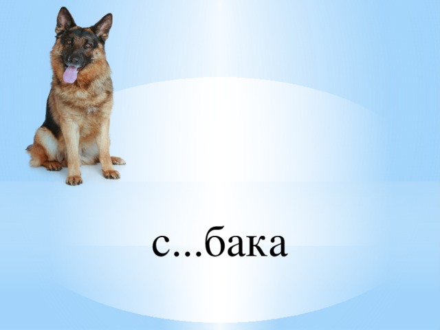 с...бака 
