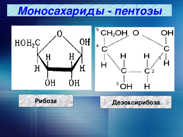 Моносахариды - пентозы Рибоза Дезоксирибоза  