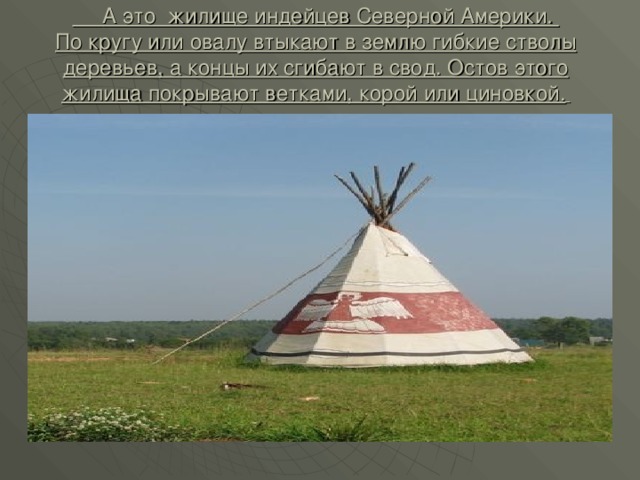  А это жилище индейцев Северной Америки.  По кругу или овалу втыкают в землю гибкие стволы деревьев, а концы их сгибают в свод. Остов этого жилища покрывают ветками, корой или циновкой.  