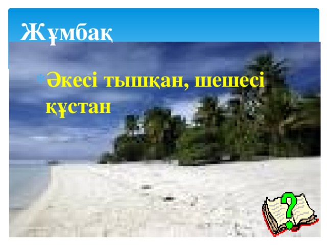 Жұмбақ Әкесі тышқан, шешесі құстан 