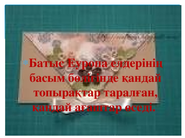 Батыс Еуропа елдерінің басым бөлігінде қандай топырақтар таралған, қандай ағаштар өседі. 