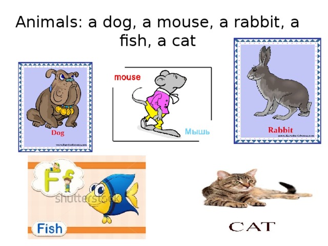 Animals: a dog, a mouse, a rabbit, a fish, a cat 
