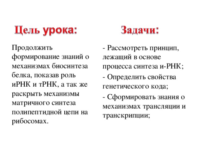 Продолжить формирование знаний о механизмах биосинтеза белка, показав роль иРНК и тРНК, а так же раскрыть механизмы матричного синтеза полипептидной цепи на рибосомах. - Рассмотреть принцип, лежащий в основе процесса синтеза и-РНК; - Определить свойства генетического кода; - Сформировать знания о механизмах трансляции и транскрипции; 