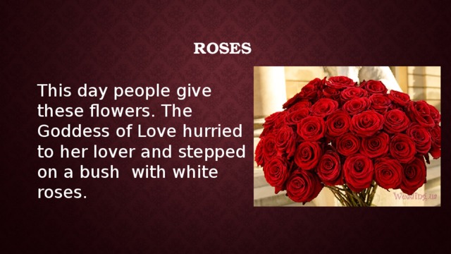Roses This day people give these flowers. The Goddess of Love hurried to her lover and stepped on a bush with white roses. 