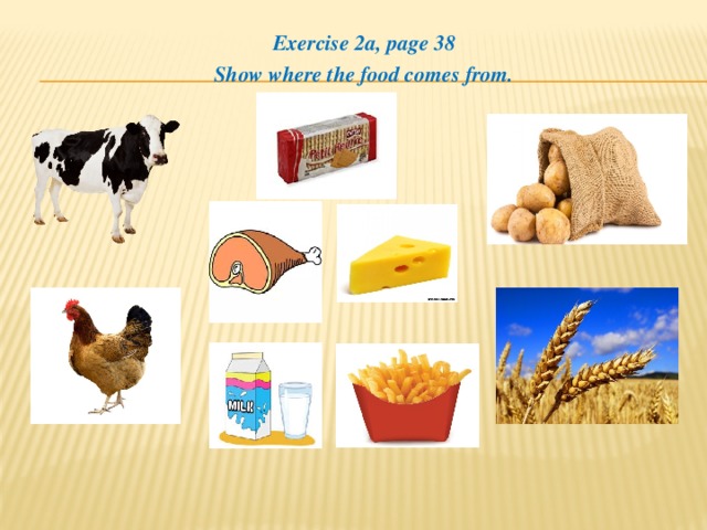 Exercise 2a, page 38 Show where the food comes from. 