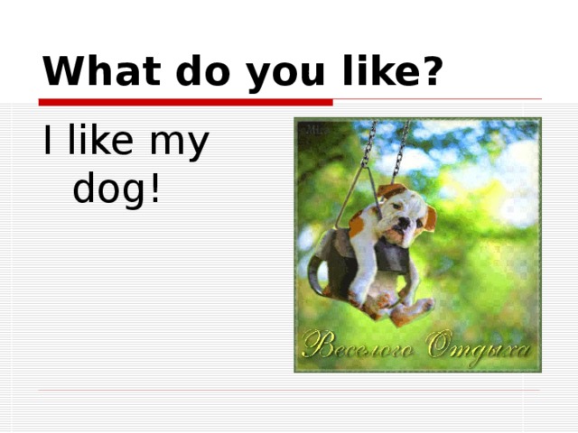 What do you like? I like my dog!  