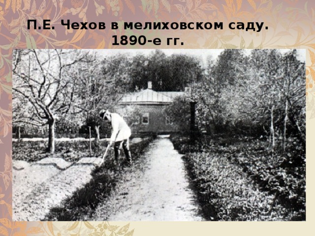   П.Е. Чехов в мелиховском саду. 1890-е гг. 