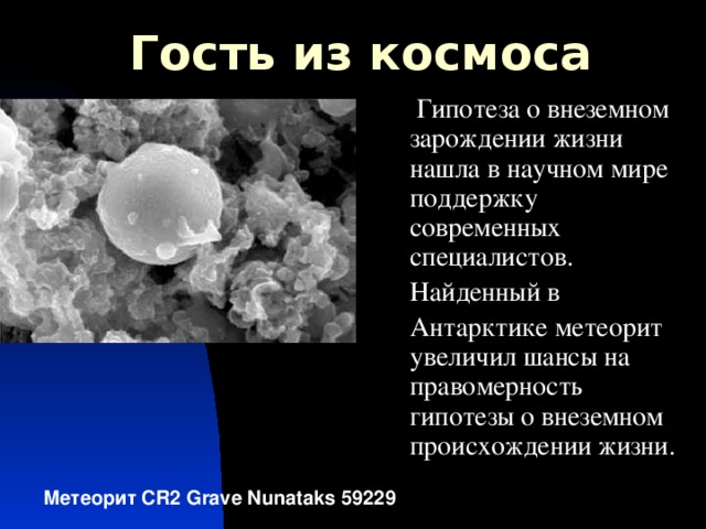 Гость из космоса  Гипотеза о внеземном зарождении жизни нашла в научном мире поддержку современных специалистов. Найденный в Антарктике метеорит увеличил шансы на правомерность гипотезы о внеземном происхождении жизни. Метеорит CR2 Grave Nunataks 59229