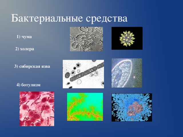 Бактериальные средства  1) чума  2) холера  3) сибирская язва  4) ботулизм  