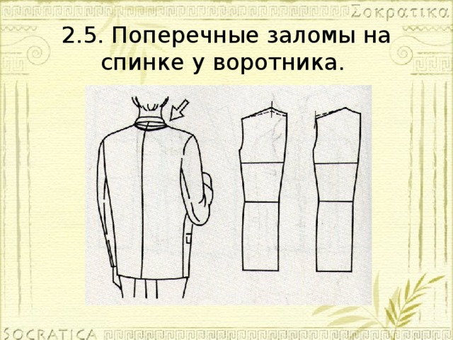 За этот характерный рисунок на спинке ученые
