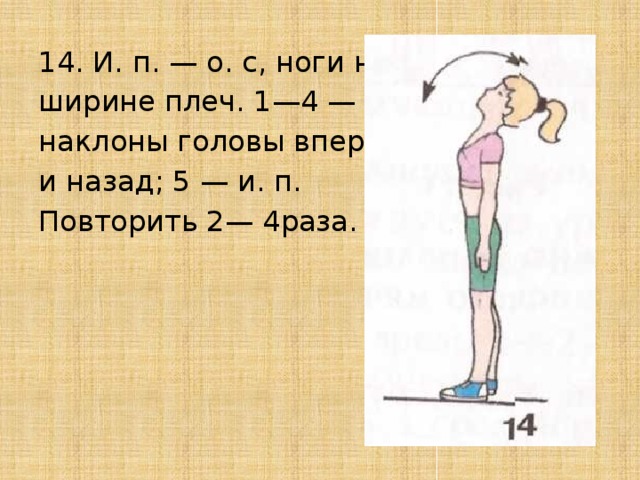 14. И. п. — о. с, ноги на ширине плеч. 1—4 — наклоны головы вперёд и назад; 5 — и. п. Повторить 2— 4раза. 