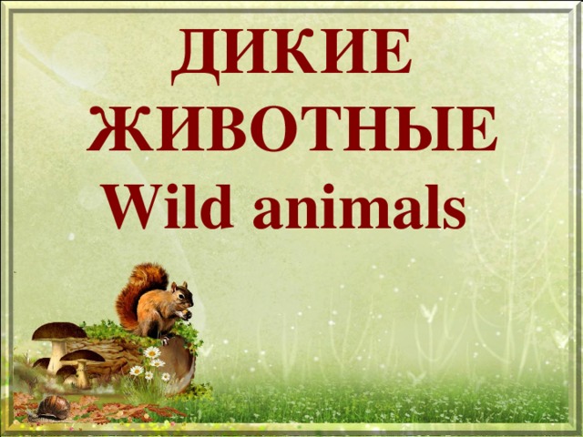 ДИКИЕ  ЖИВОТНЫЕ  Wild animals 