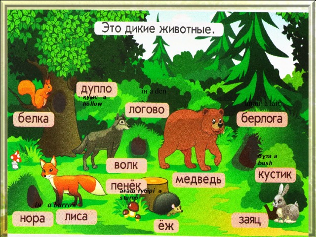 ін a den қ уыс   a hollow апан a lair б ұ та   bush б ұ та  a   bush ағаш түбірі  a stump ін a burrow 