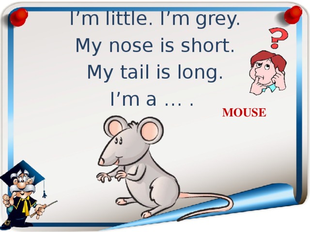 I’m little. I’m grey. My nose is short. My tail is long. I’m a … .  MOUSE 