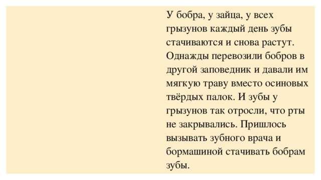 У бобра, у зайца, у всех грызунов каждый день зубы стачиваются и снова растут. Однажды перевозили бобров в другой заповедник и давали им мягкую траву вместо осиновых твёрдых палок. И зубы у грызунов так отросли, что рты не закрывались. Пришлось вызывать зубного врача и бормашиной стачивать бобрам зубы.