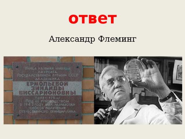 ответ Александр Флеминг 