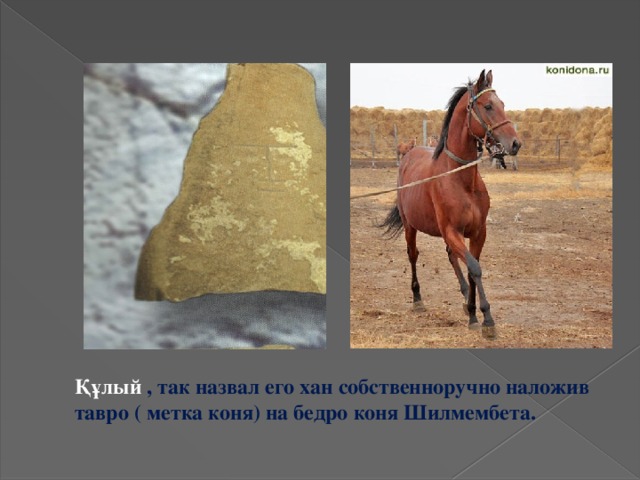 Құлый , так назвал его хан собственноручно наложив тавро ( метка коня) на бедро коня Шилмембета. 