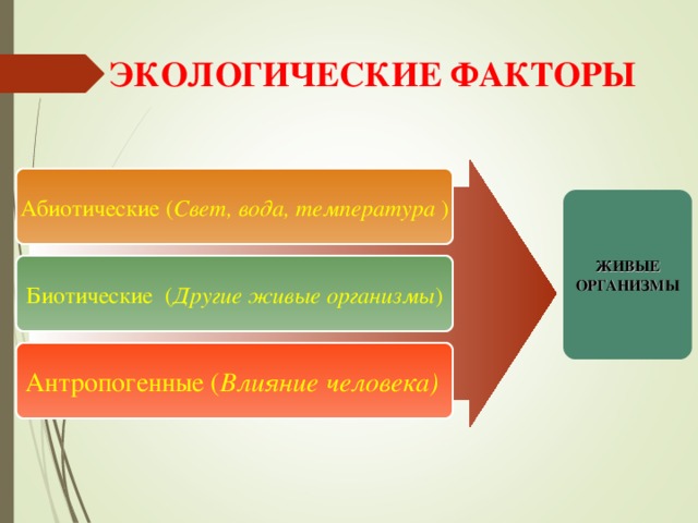 ЭКОЛОГИЧЕСКИЕ ФАКТОРЫ Абиотические ( Свет, вода, температура ) ЖИВЫЕ ОРГАНИЗМЫ Биотические ( Другие живые организмы ) Антропогенные ( Влияние человека) 